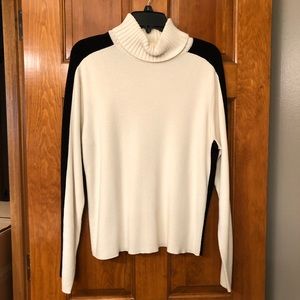 Turtleneck Sweater
